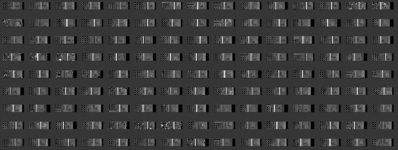 syn dataset